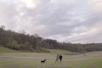 Partridge &amp; pheasant shooting in Angmering, West Sussex