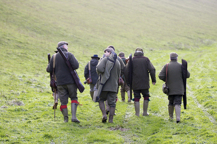 Partridge and pheasant shooting in Salisbury