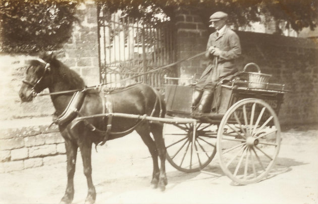 BALSON DELIVERY HORSE