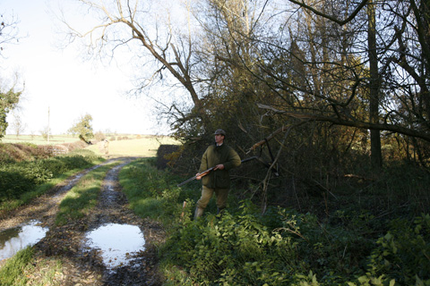 BASC issues membership renewal advice amid postal strike