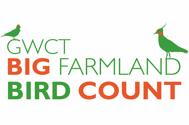 Big Farmland Bird Count 
