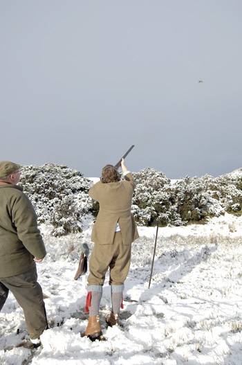 Game shooting at Baronscourt, County Tyrone