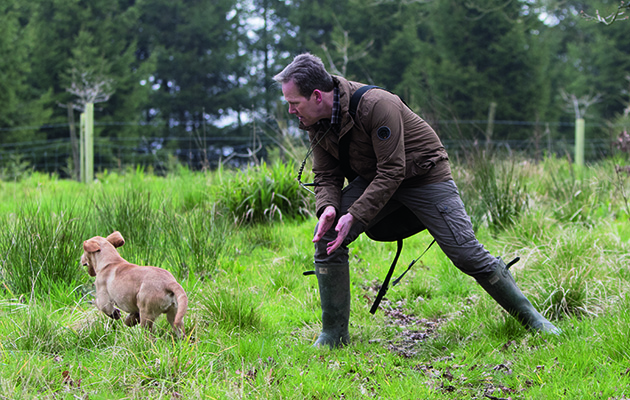 Remy would pick up  a tennis ball and run past Neil during training, a habit that had to be nipped in the bud