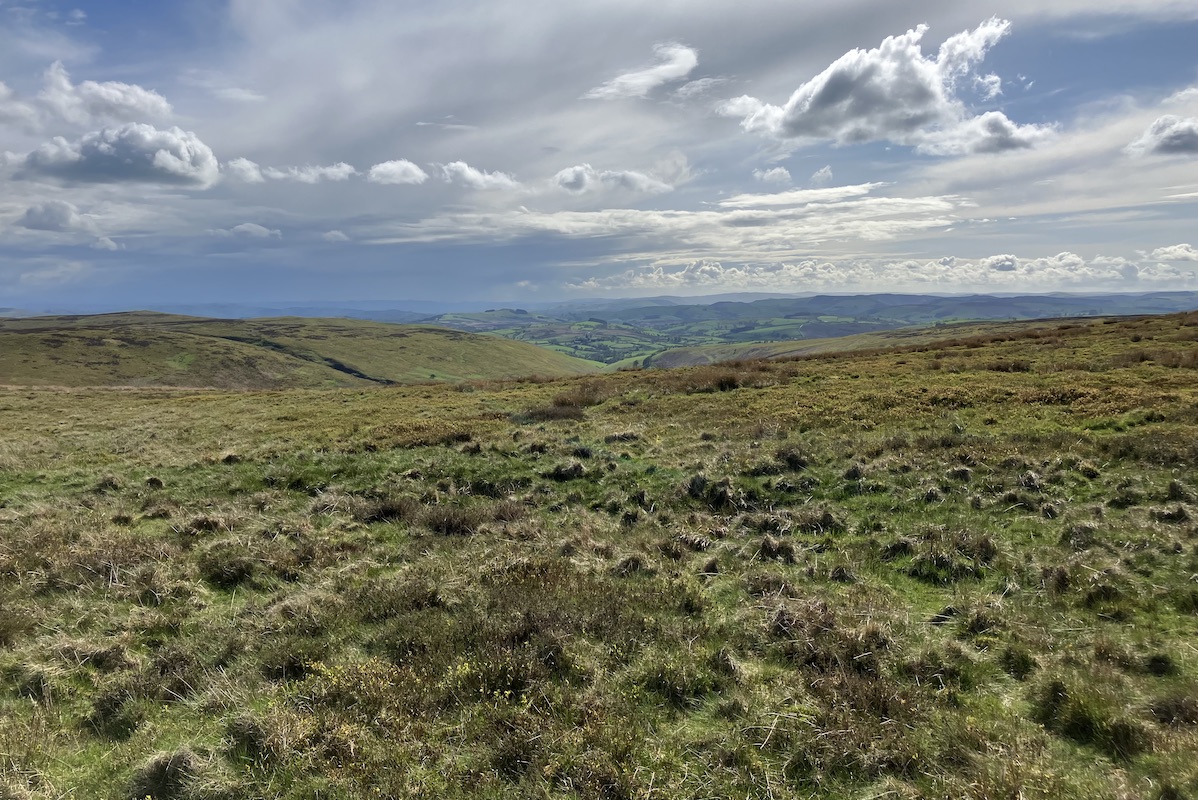 New Welsh-English project to restore nature and boost rural prosperity