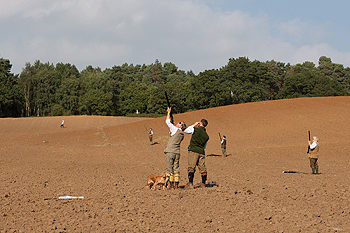 Beckerings Park shoot: Indian summer partridges