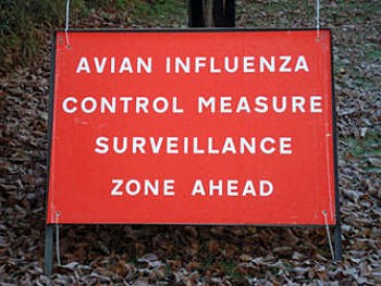 Experts warn shooting community of bird flu risks as outbreak worsens