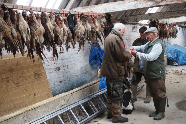 Game meat is free range so does that mean it&#8217;s organic?