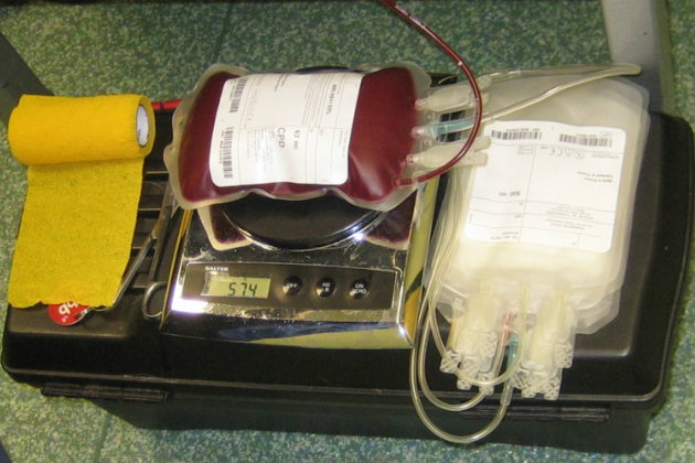 Blood units 