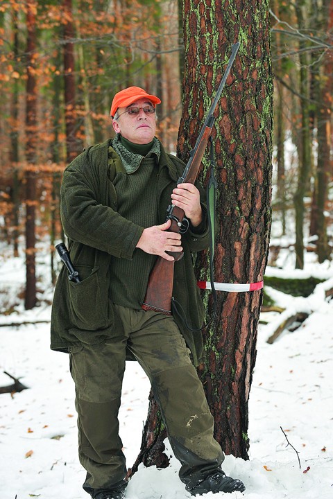 Boar shooting in Nassau, Germany