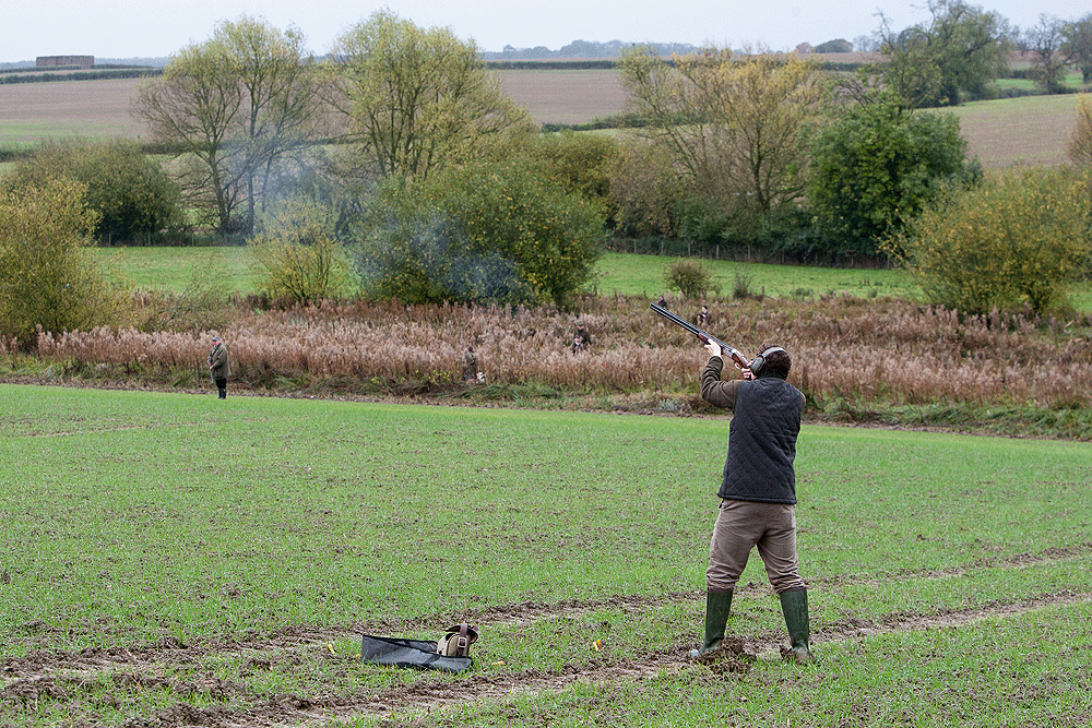The Fenn Valley Shoot
