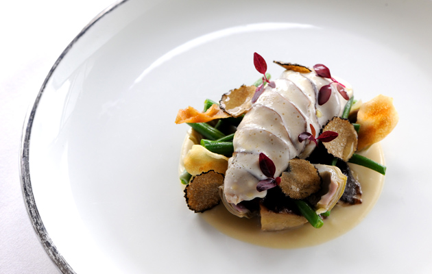 Breast of partridge with mushroom and truffle