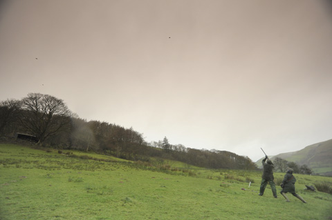 TOP 10: Pheasant shoots in the UK