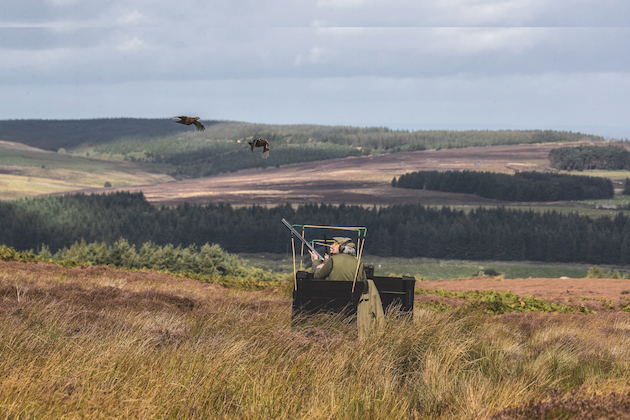 grouse shooting from butt 