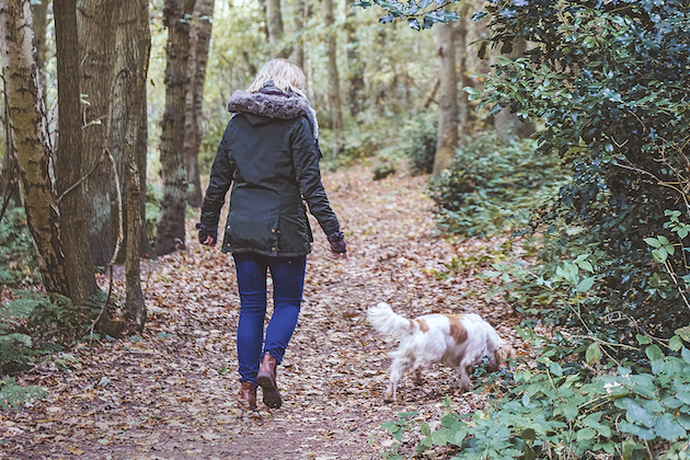 What happened when a dog walker enjoying a stroll on private land complained about the gameshooting there &#8230;