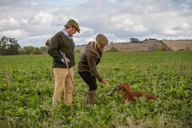 How to prepare for your dog&#8217;s first shoot day
