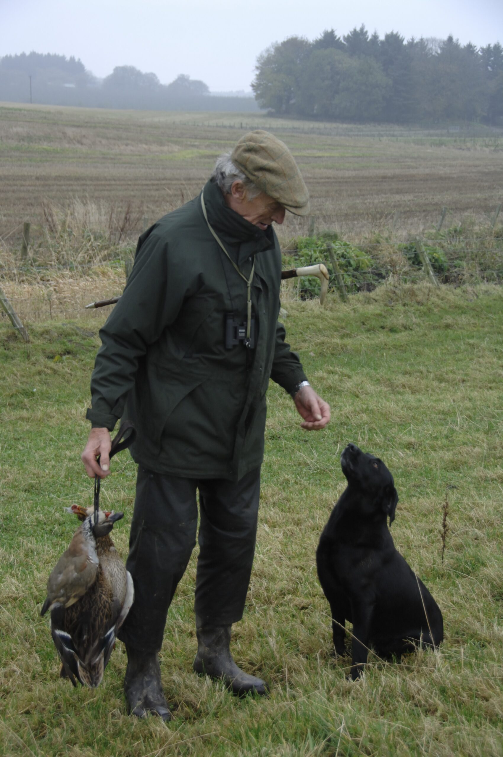 Can I stop my gundog running off?