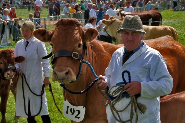Agricultural shows report a record season, despite demise of CLA Game Fair