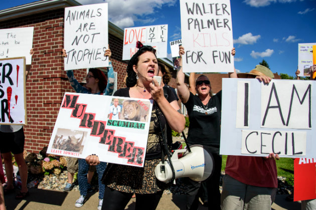 Cecil the lion protesters