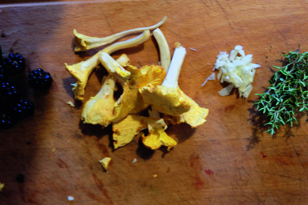 yellow chanterelle mushrooms 