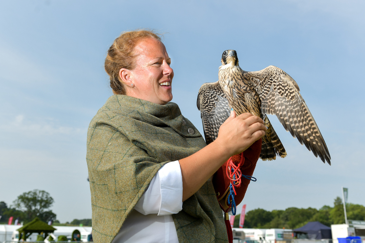 65 things you didn&#8217;t know about The Game Fair