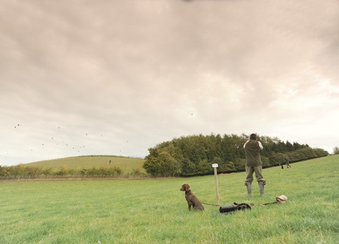 Partridge shooting at Cheveridge, Worcestershire