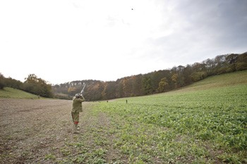 Game shooting at Chilgrove, Sussex