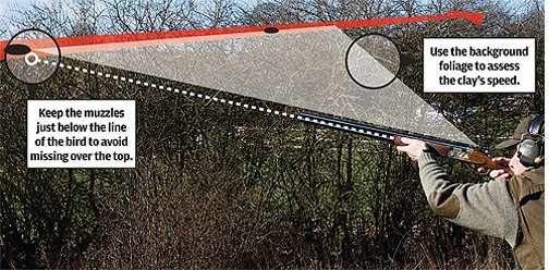 Clay pigeon shooting: How to shoot crossers 