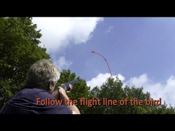 Clay pigeon shooting: The Crow target