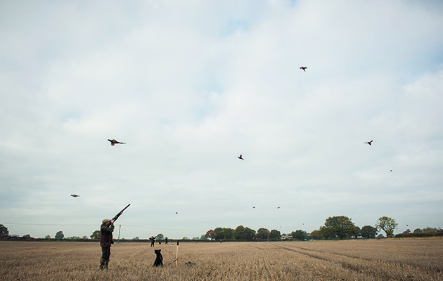 Clayshooting tips for the game season