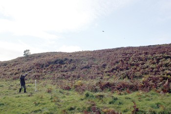 Game shooting at the Cleggan shoot, County Antrim