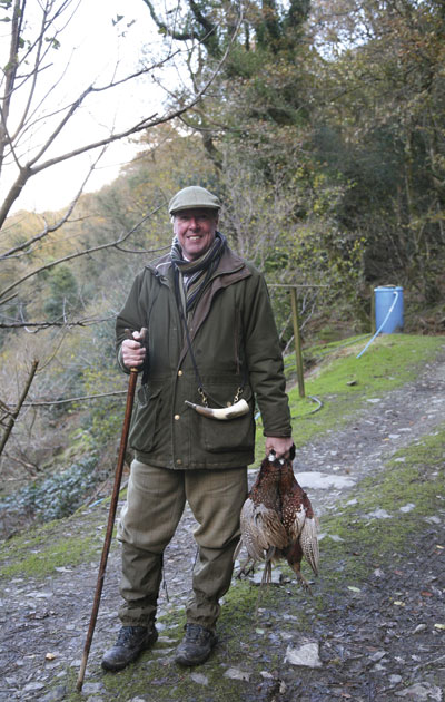 Pheasant shooting from the Clovelly Shoot, Devon