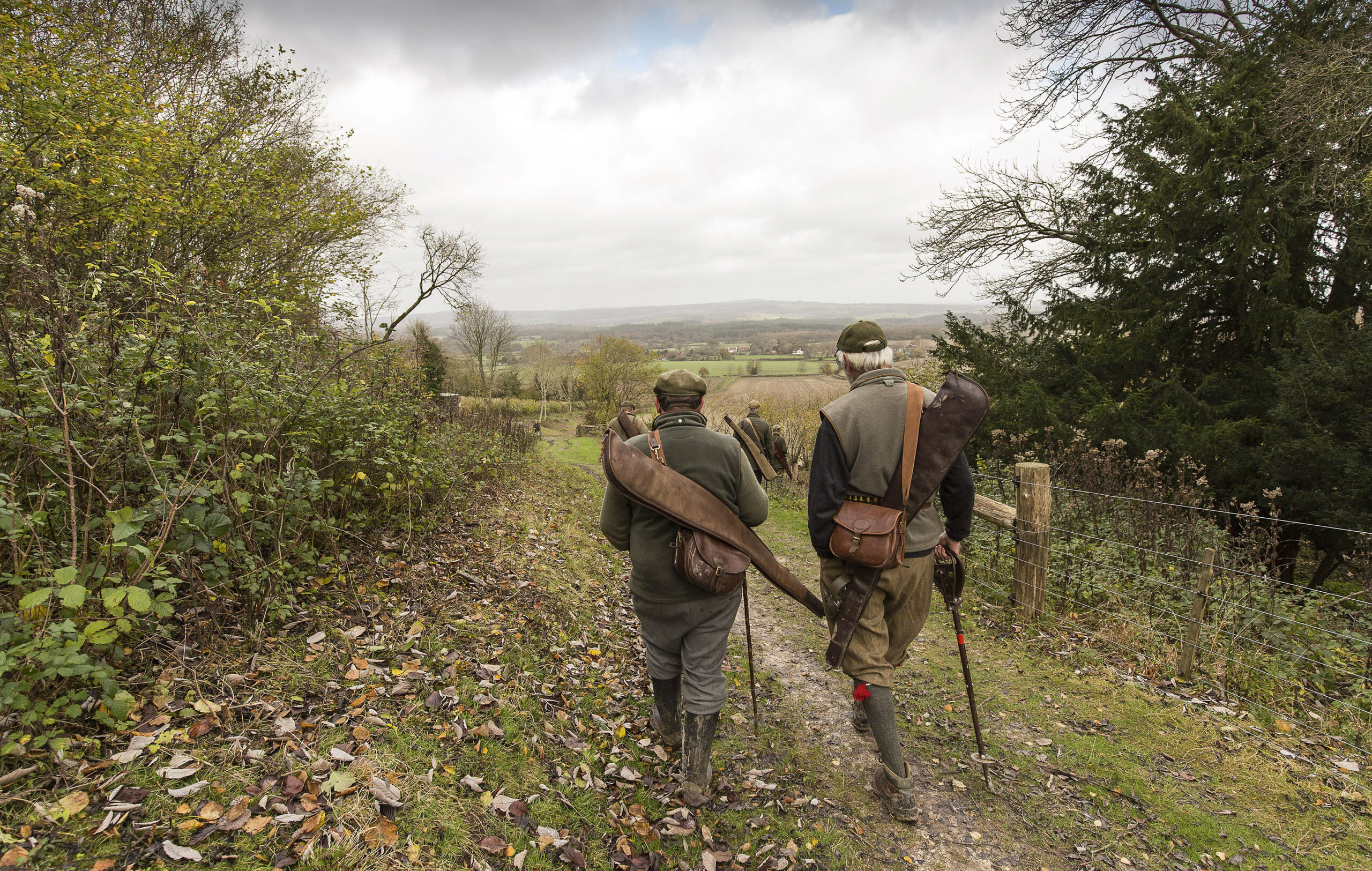 Cocking Shoot, West Sussex