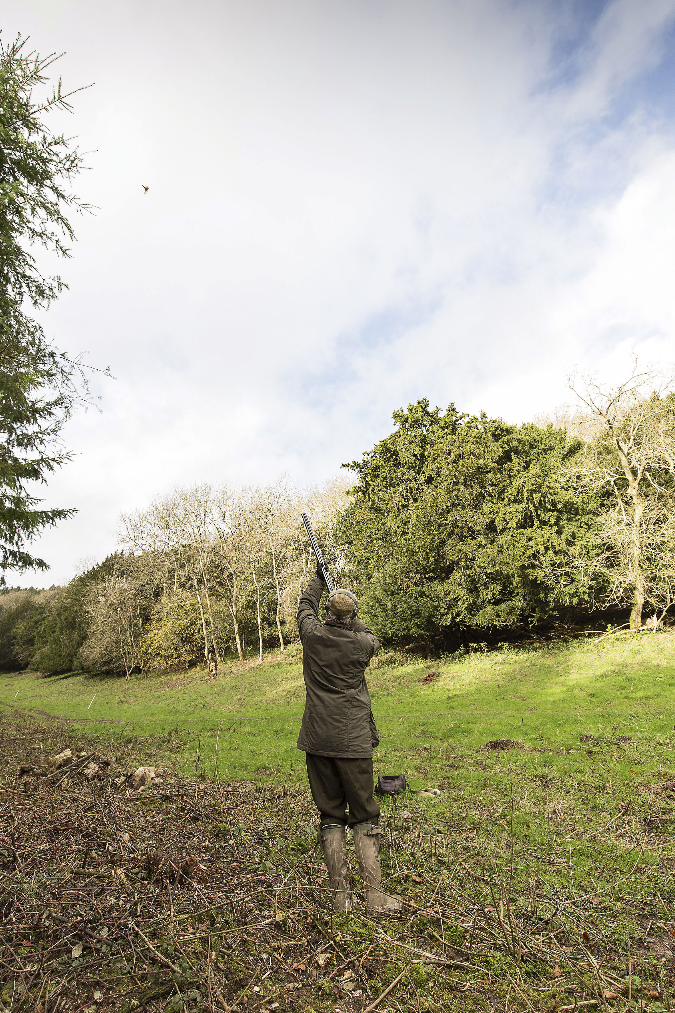 Cocking Shoot West Sussex