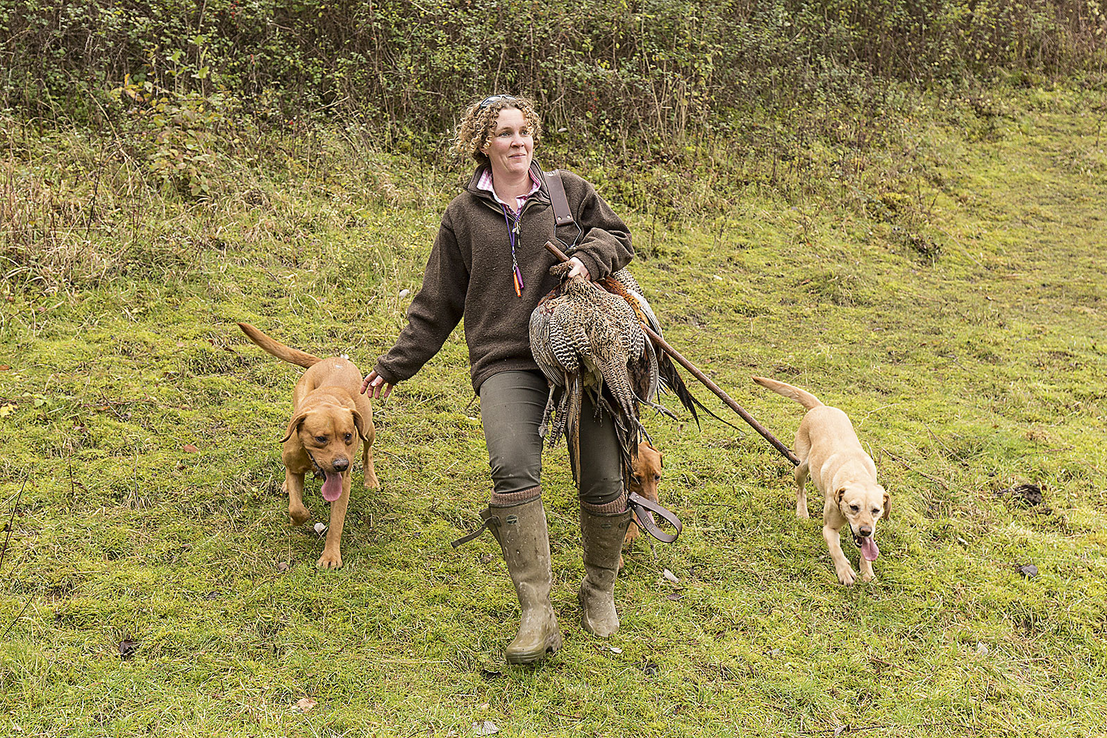 Cocking shoot West Sussex
