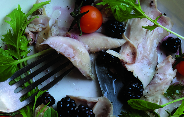 Confit rabbit and blackberry salad