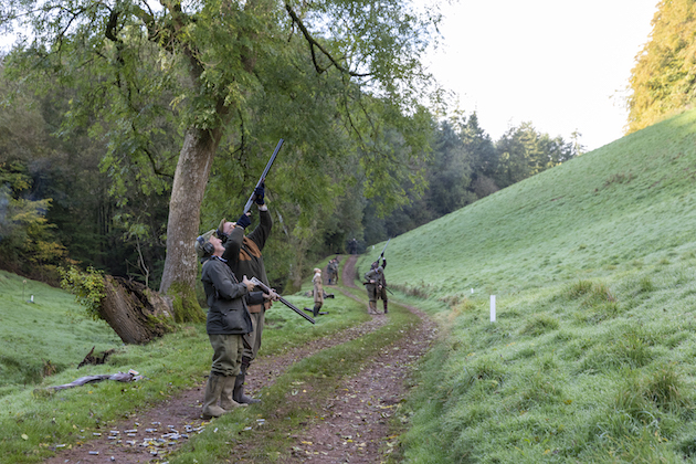 15 of the best pheasant shoots in the UK that will be open next season