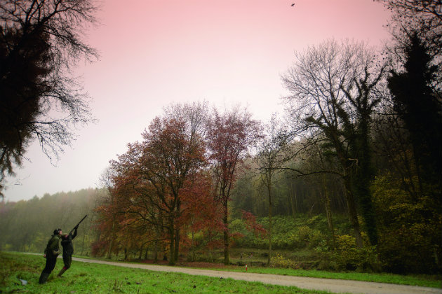 20 of the best UK pheasant shoots that will be open this season