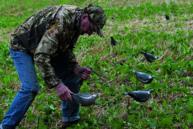man with pigeon decoys 