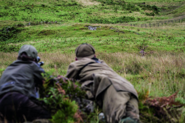 Steps to a successful stalk