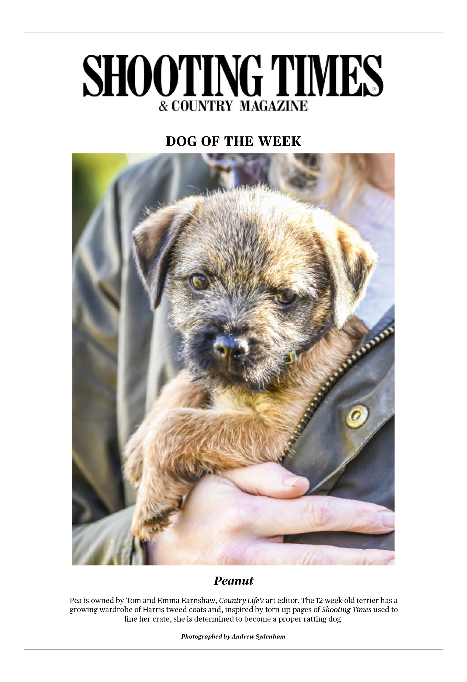 Shooting Times Dog of the Week