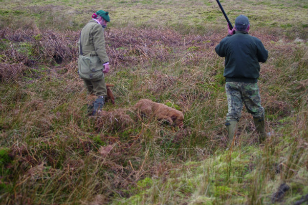 Roughshooting &#8211; point and shoot