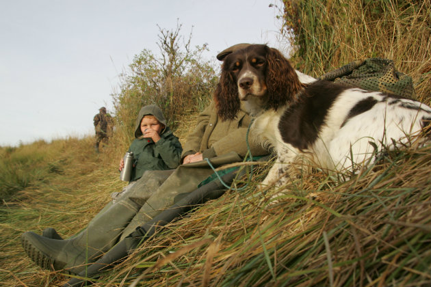 Dog and young wildfowler