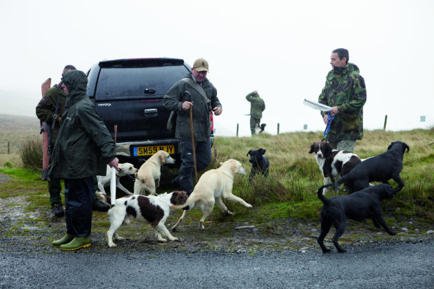 My gundog embarrasses me in front of other Guns