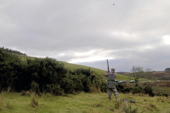 Game shooting at Dornells, Dumfriesshire