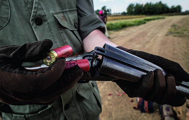 Dove hunting