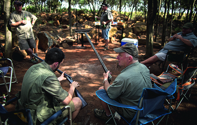 Dove hunting