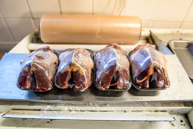 How to prepare and dress a woodpigeon