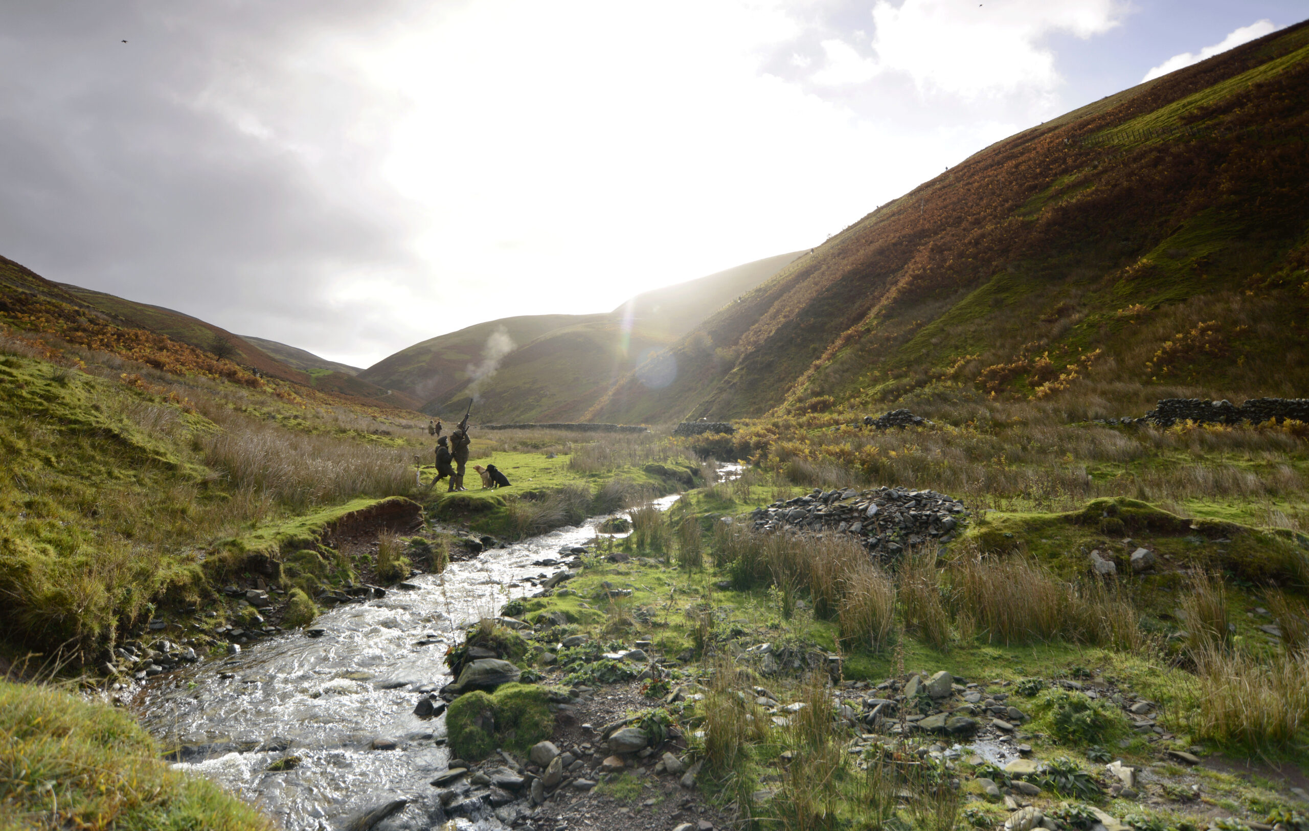Drumlanrig: Partridge shooting in Dumfriesshire