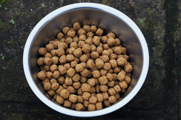 Dry dog food 