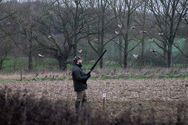 Reader's photos of the week